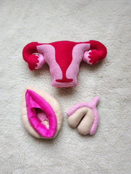 Kit Utero e Vulva Didática de Pelúcia Velboa