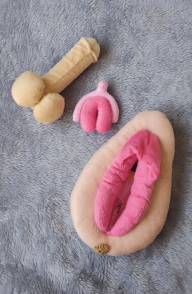 Kit Vulva e Órgão Masculino Didático de Pelúcia