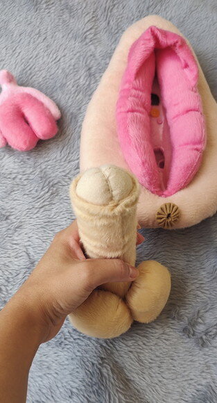 Kit Vulva e Órgão Masculino Didático de Pelúcia