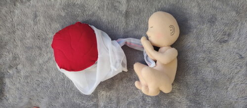Bebê Didático com placenta