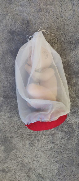 Bebê Didático com placenta