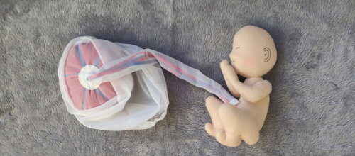Bebê Didático com placenta