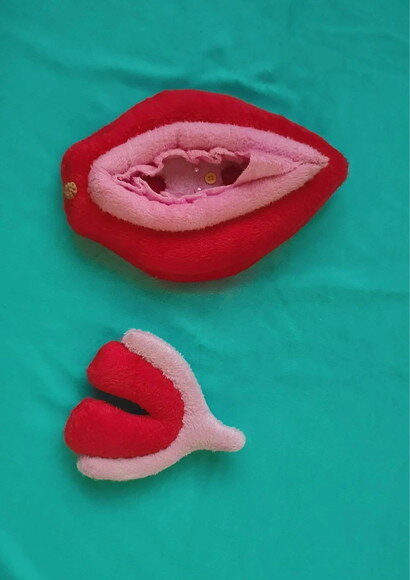 Vulva Didatica de pelúcia  (modelo2)