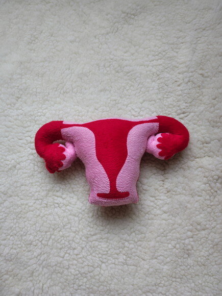 Utero Didático de Pelúcia