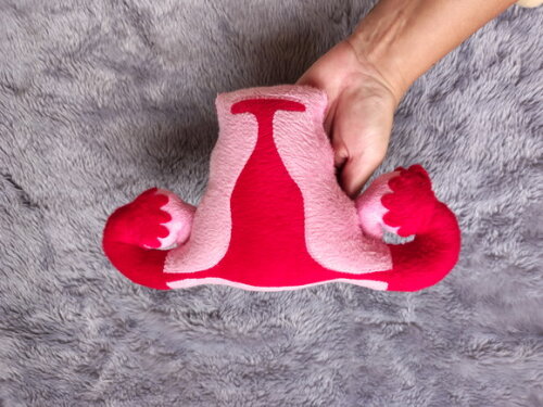 Utero Didático de Pelúcia