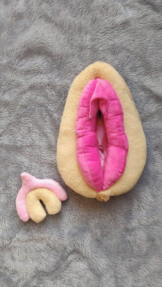 Vulva Didatica de Pelúcia grande 30cm