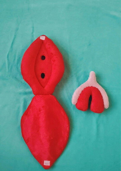 Vulva Didatica de pelúcia  (modelo2)
