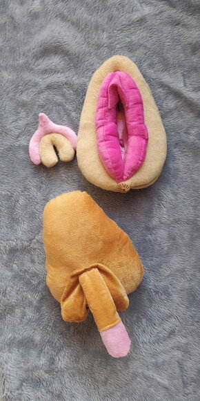 Vulva e Sistema Reprodutor Masculino Didático de Pelúcia