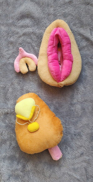 Vulva e Sistema Reprodutor Masculino Didático de Pelúcia