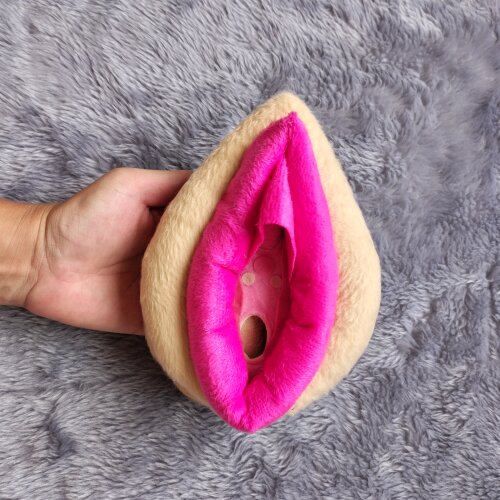 Kit Anatômico Vulva Clássica e órgão masculini  aducativo cor