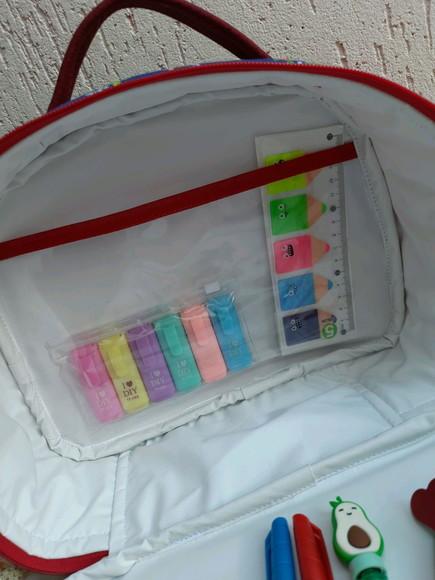 Bolsa Professora, frasqueira, capa de caderno e pasta organizador