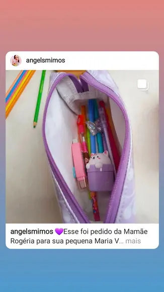 Estojo Box Princesa m Impermeável