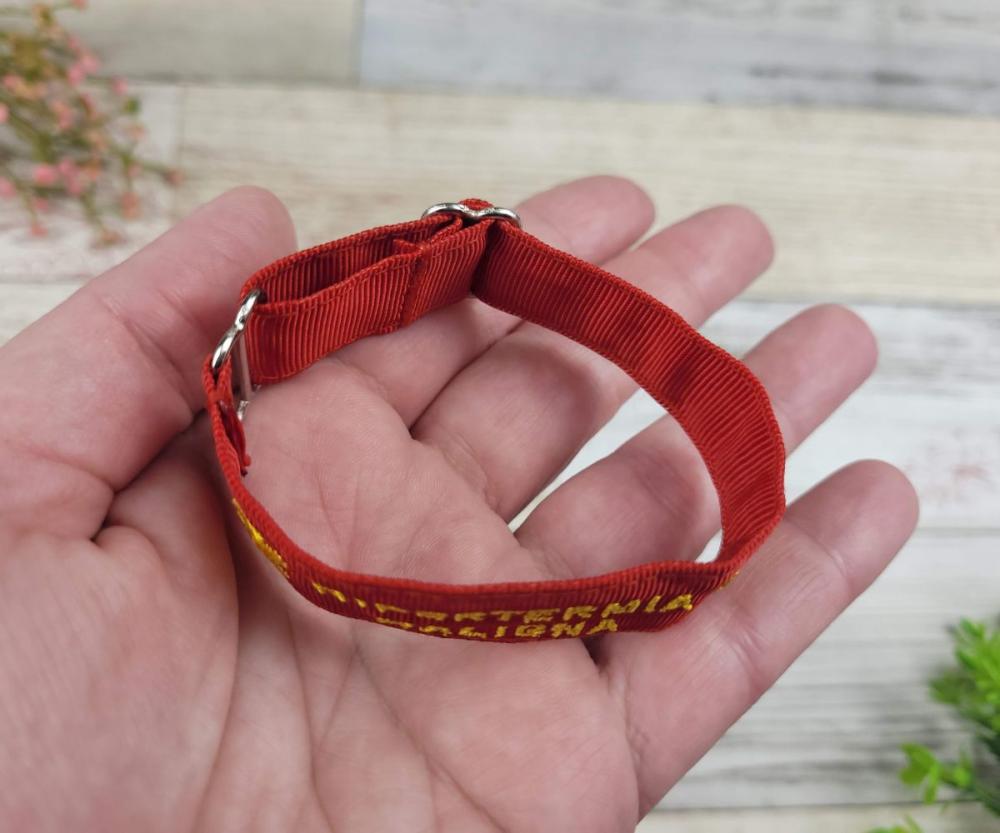 Pulseira de Identificação Infantil Personalizada – Nome e Tel
