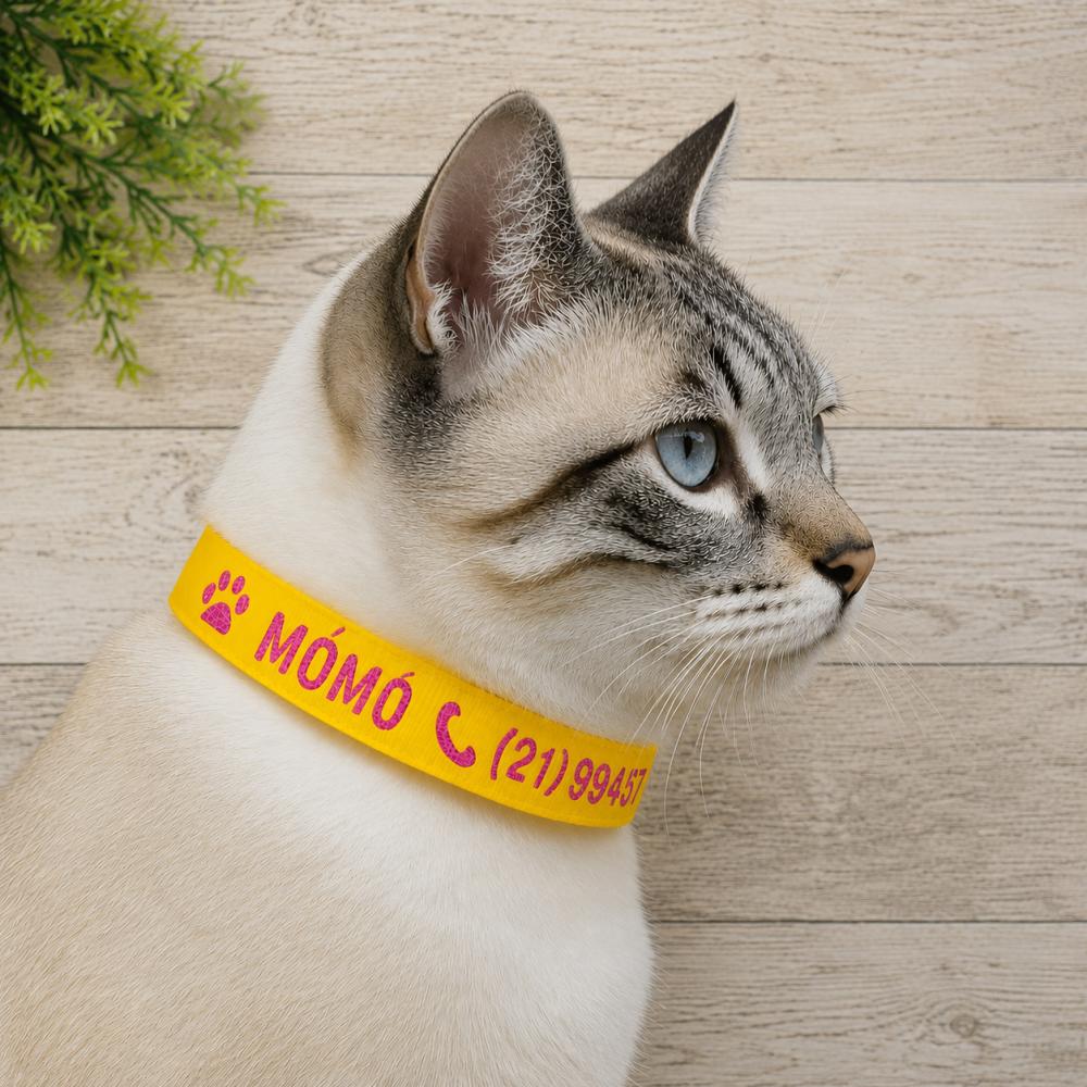 Coleira de Identificação Personalizada para Gato