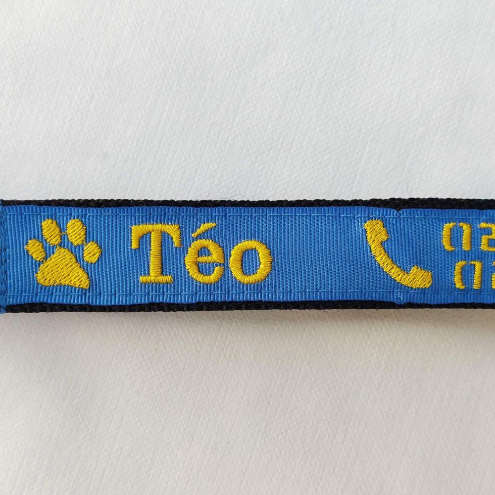 Coleira de Identificação para Cachorro