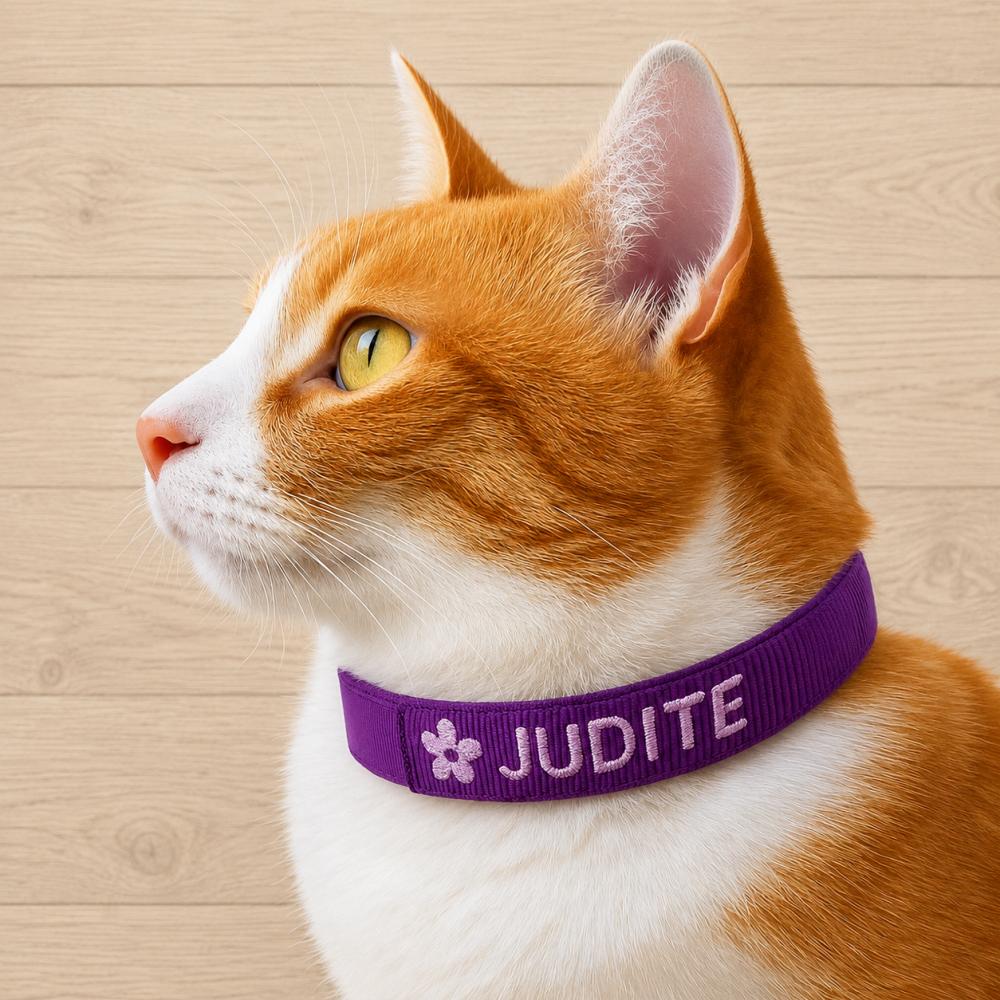 Coleira de Identificação Personalizada para Gato
