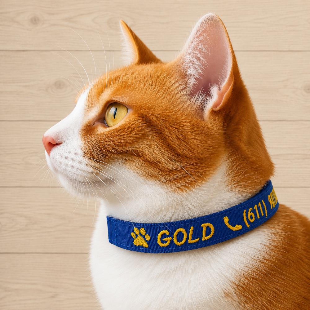 Coleira de Identificação Personalizada para Gato