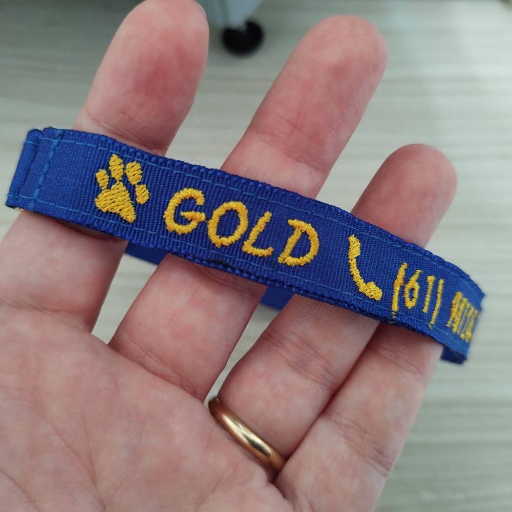 Coleira de Identificação Personalizada para Gato