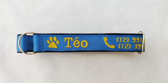 Coleira de Identificação para Cachorro
