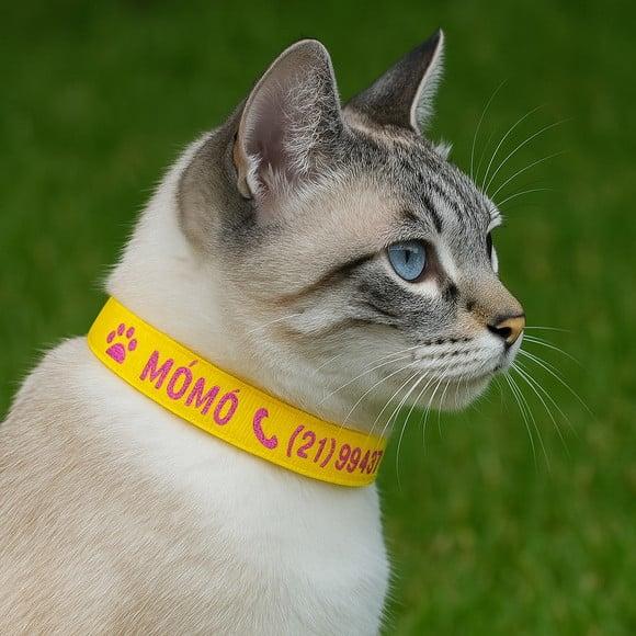 Coleira de Identificação Personalizada para Gato