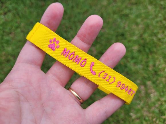 Coleira de Identificação Personalizada para Gato