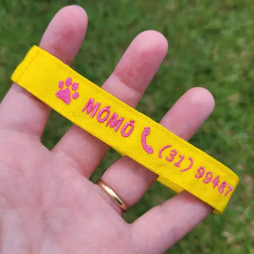 Coleira de Identificação Personalizada para Gato