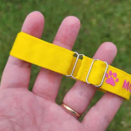 Coleira de Identificação Personalizada para Gato