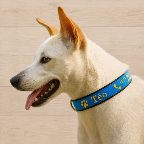 Coleira de Identificação para Cachorro