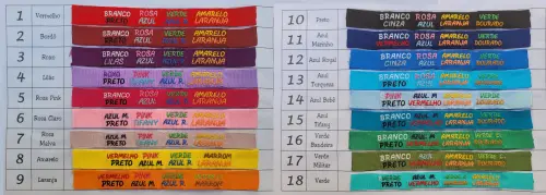 Coleira de Identificação Personalizada para Gato