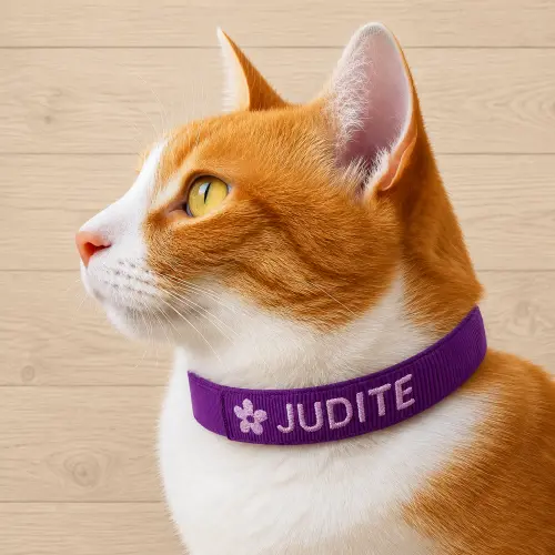 Coleira de Identificação Personalizada para Gato
