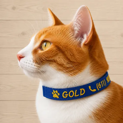 Coleira de Identificação Personalizada para Gato
