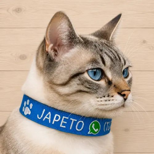 Coleira de Identificação Personalizada para Gato