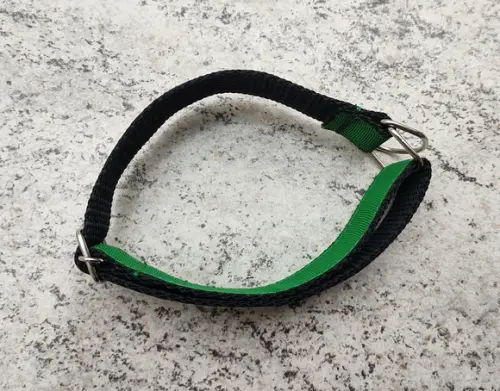 Coleira de Identificação para Cachorro
