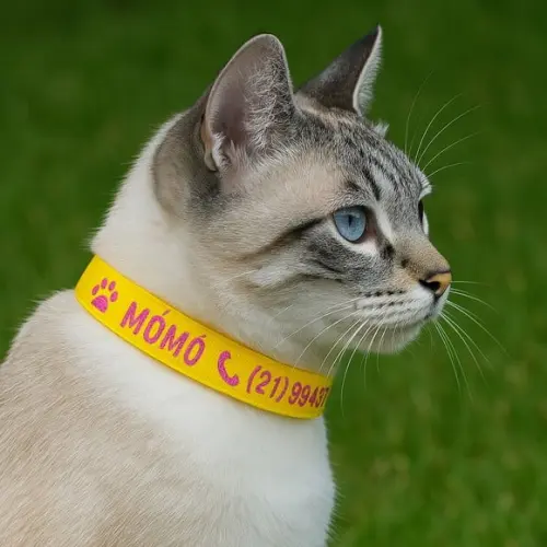 Coleira de Identificação Personalizada para Gato