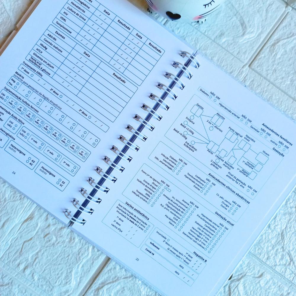 Caderneta da Gestante Personalizada | Dinha's Arte