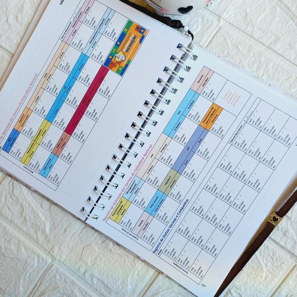 Caderneta de Vacinação Personalizada para Bebê Caderneta de Sa