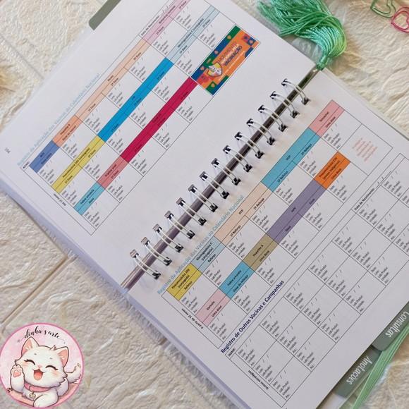 Kit Caderneta de Vacina, Livro do Bebê e Porta Documentos