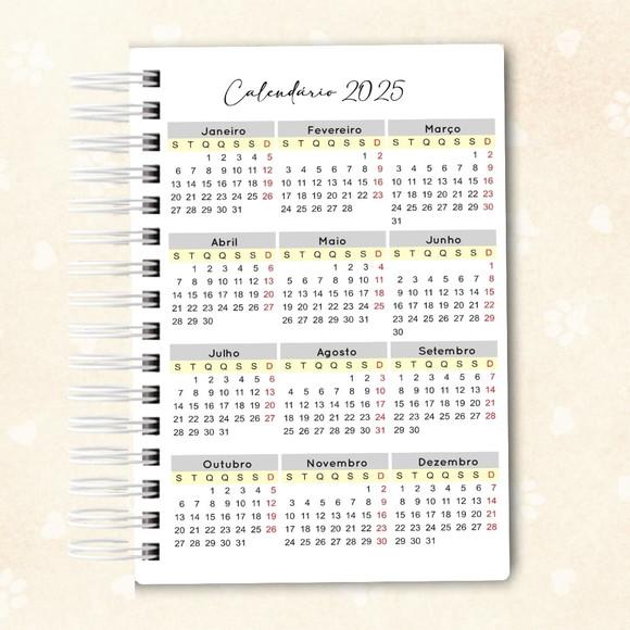 Planner Diário Caveira Mexicana 02
