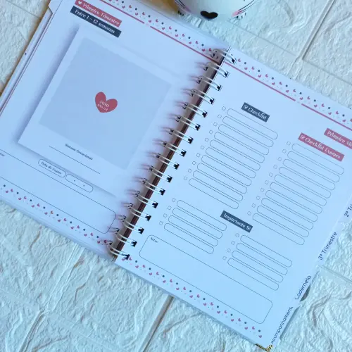 Caderneta da Gestante Personalizada | Dinha's Arte