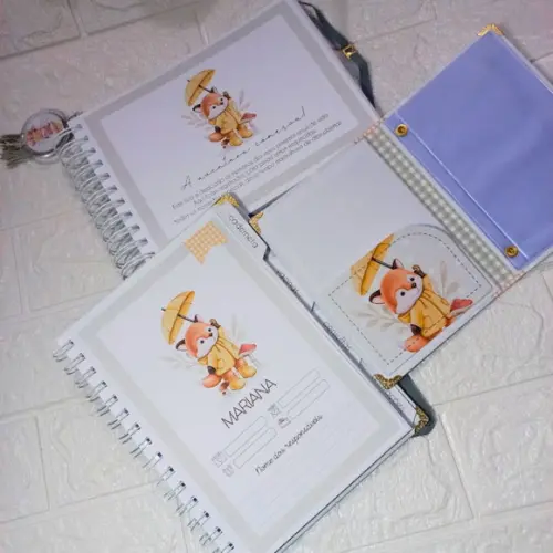 Kit Bebê Raposinha Personalizado