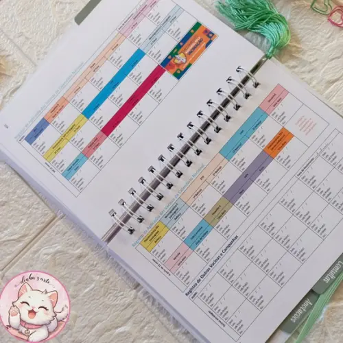 Kit Caderneta de Vacina, Livro do Bebê e Porta Documentos
