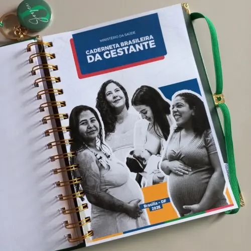 Caderneta da Gestante Personalizada Minimalista e Elegante