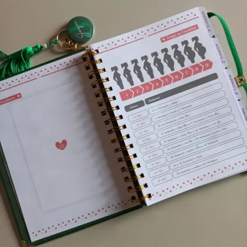 Caderneta da Gestante Personalizada Minimalista e Elegante