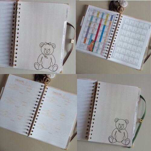 Caderneta Bebê Personalizada Minimalista com Nome Luxo