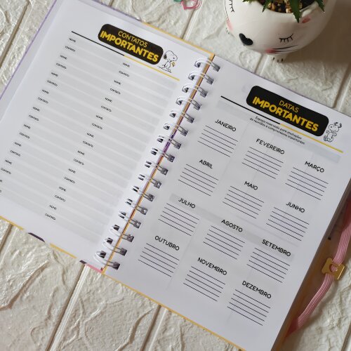 Planejador Diário Personalizado Snoopy