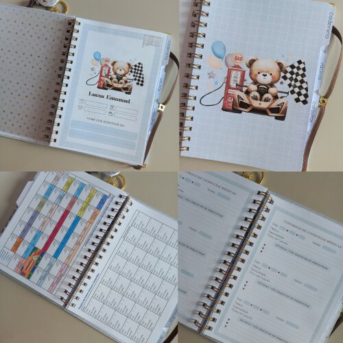Kit Bebê Personalizado Ursinho Caderneta de Saúde do Bebê  Liv