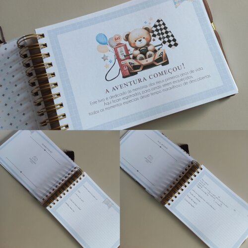 Kit Bebê Personalizado Ursinho Caderneta de Saúde do Bebê  Liv