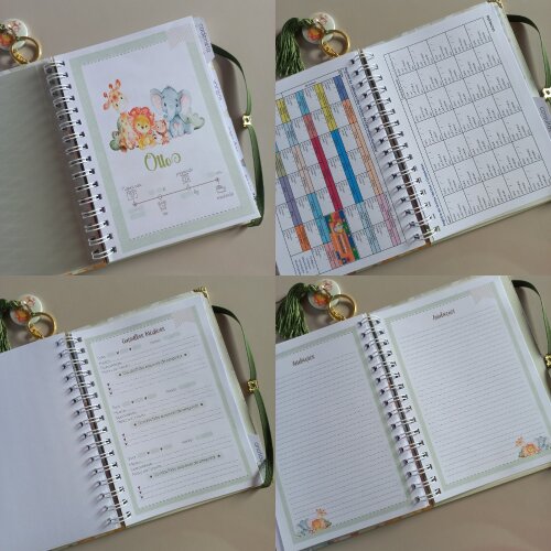 Kit Bebê Personalizado Safari Caderneta de Saúde  Livro do Beb?