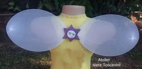 Asa Princesa