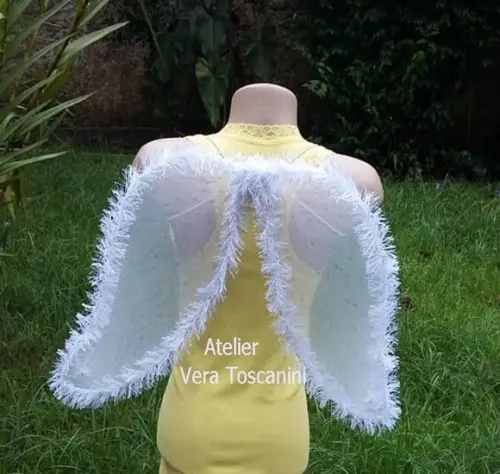 Asa de Anjo